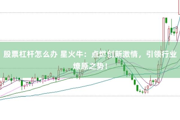 股票杠杆怎么办 星火牛：点燃创新激情，引领行业燎原之势！