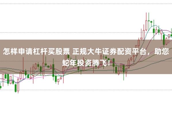 怎样申请杠杆买股票 正规大牛证券配资平台，助您蛇年投资腾飞！