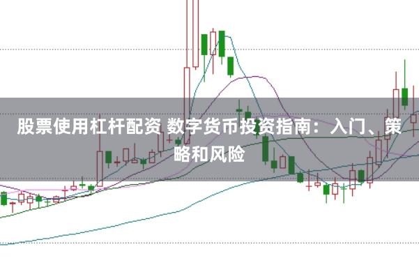 股票使用杠杆配资 数字货币投资指南：入门、策略和风险