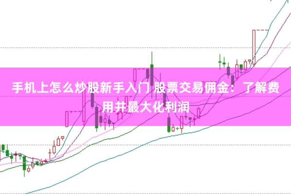 手机上怎么炒股新手入门 股票交易佣金：了解费用并最大化利润