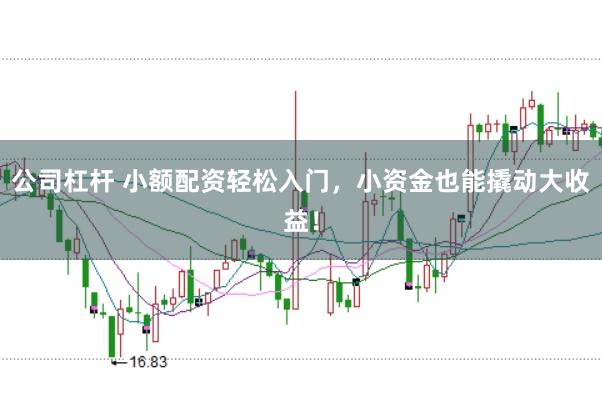 公司杠杆 小额配资轻松入门，小资金也能撬动大收益！