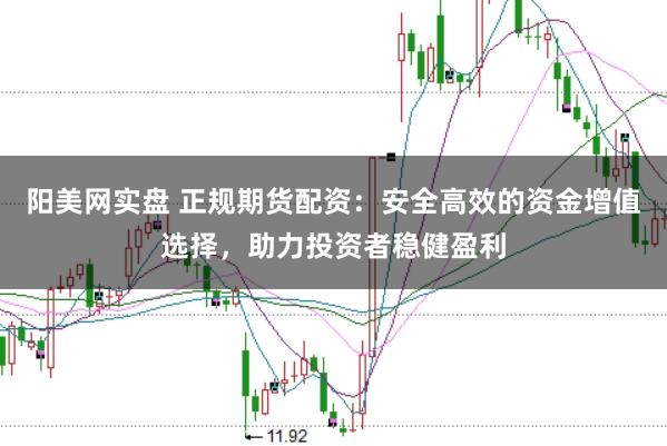 阳美网实盘 正规期货配资：安全高效的资金增值选择，助力投资者稳健盈利