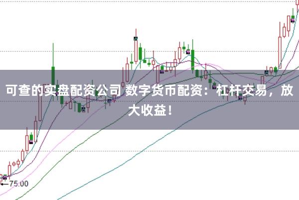 可查的实盘配资公司 数字货币配资：杠杆交易，放大收益！