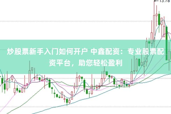 炒股票新手入门如何开户 中鑫配资：专业股票配资平台，助您轻松盈利