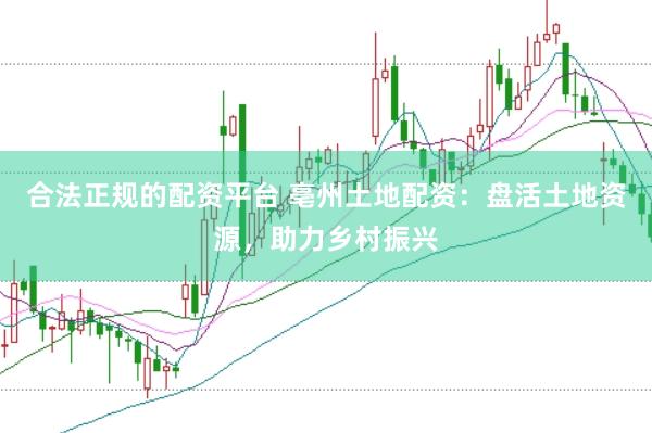 合法正规的配资平台 亳州土地配资：盘活土地资源，助力乡村振兴