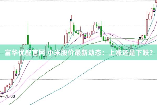 富华优配官网 小米股价最新动态：上涨还是下跌？