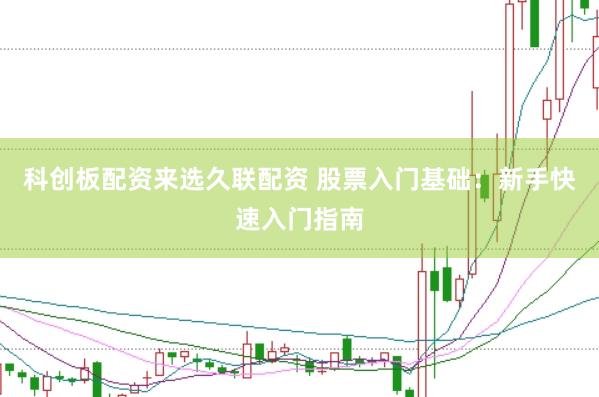 科创板配资来选久联配资 股票入门基础：新手快速入门指南