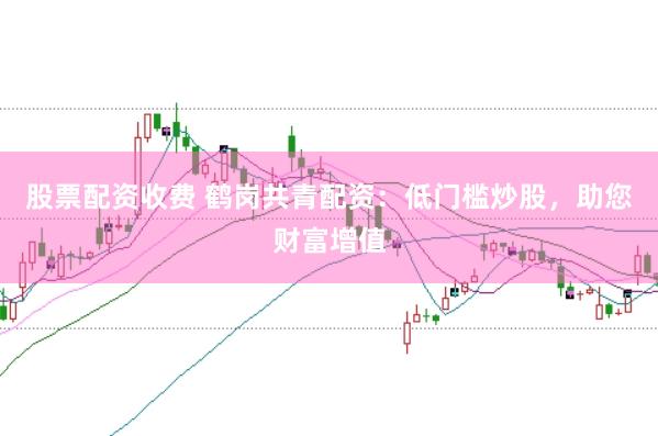股票配资收费 鹤岗共青配资：低门槛炒股，助您财富增值
