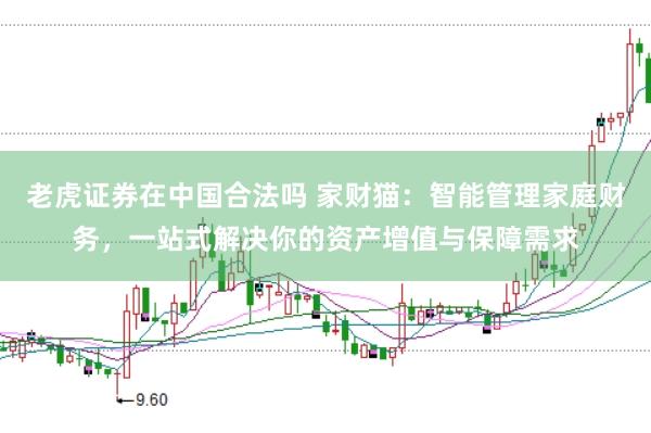 老虎证券在中国合法吗 家财猫：智能管理家庭财务，一站式解决你的资产增值与保障需求