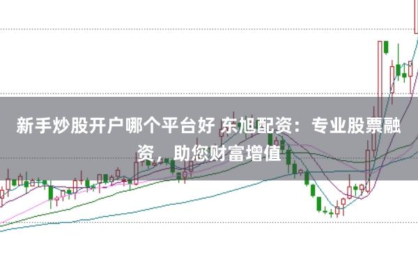 新手炒股开户哪个平台好 东旭配资：专业股票融资，助您财富增值