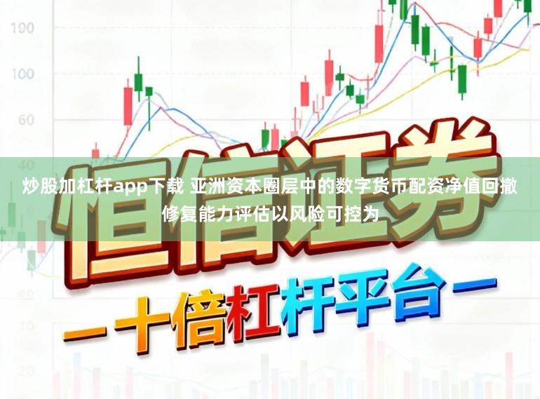炒股加杠杆app下载 亚洲资本圈层中的数字货币配资净值回撤修复能力评估以风险可控为