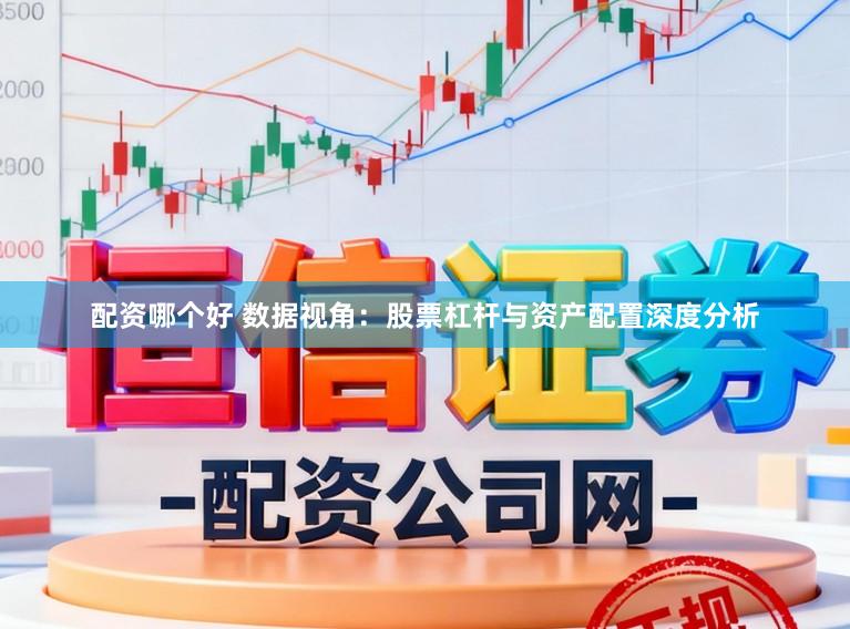配资哪个好 数据视角：股票杠杆与资产配置深度分析
